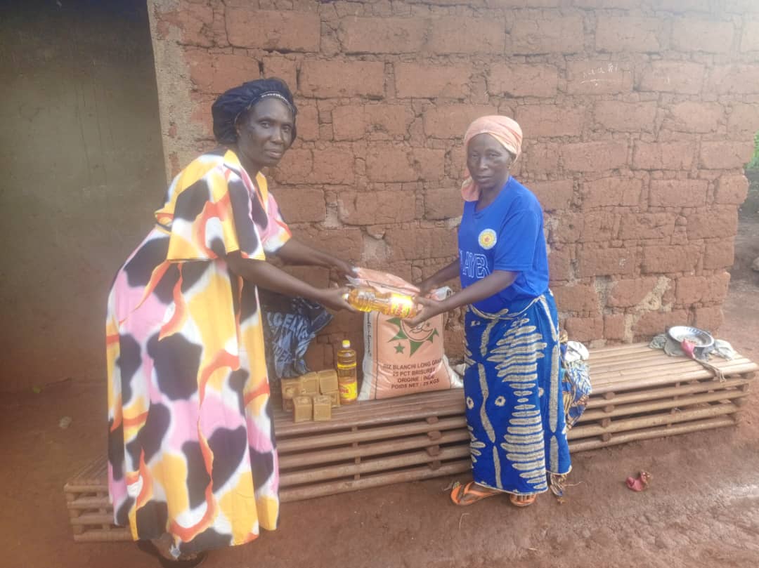 Distributing Food - Holike Foundation